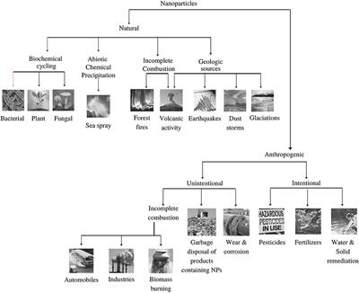 Inhalation Exposure to Atmospheric Nanoparticles and Its Associated Impacts on Human Health: A Review